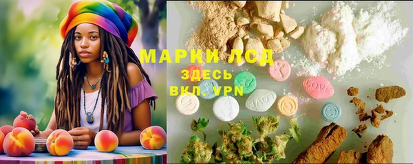 дурь Алзамай