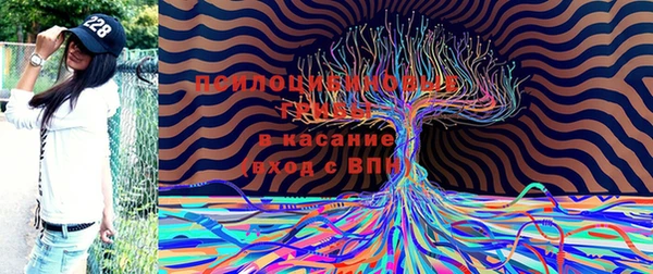 первитин Алексеевка