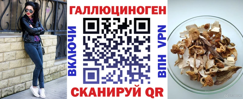 Купить  Вяземский  Галлюциногенные грибы Psilocybine cubensis 